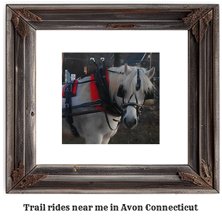 trail rides near me in Avon, Connecticut